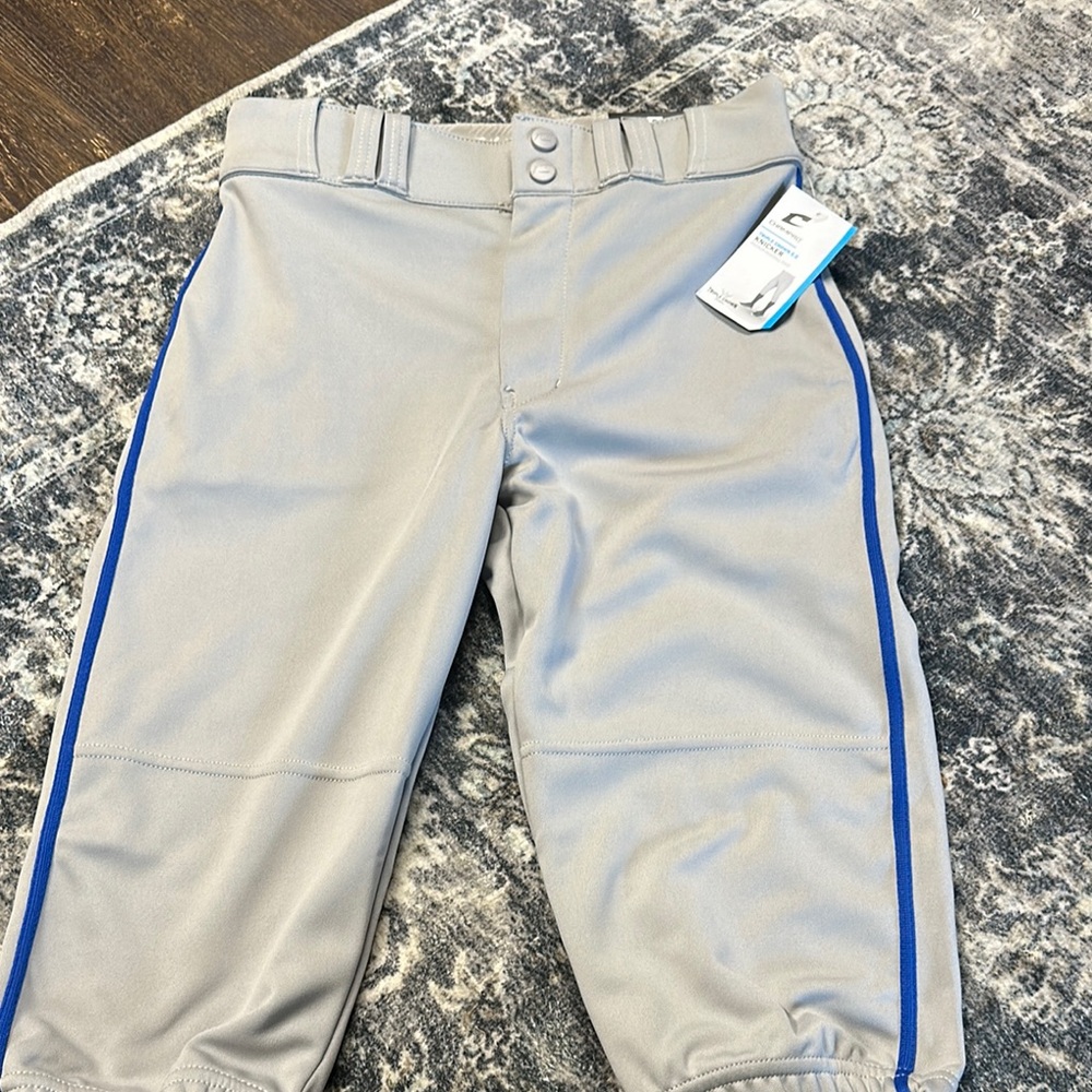 Mens Gray Baseball Pants with royal blue Stripe